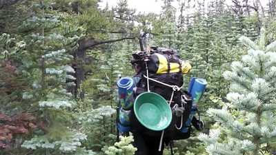 Person mit hoch beladenem Rucksack unterwegs durch dichten Nadelwald.